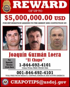 Mexican Cartel Drug Lord El Chapo Guzman Used Anabolic Steroids