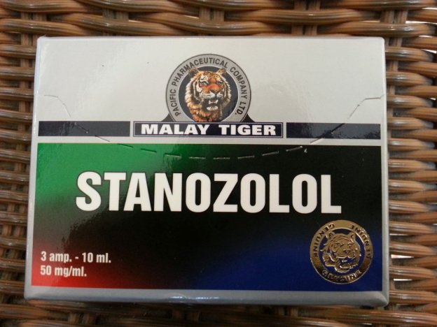 Malay Tiger Stanozolol PHOTO